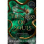 Princess of Souls : from the author of To Kill a Kingdom, the TikTok sensation!