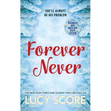 Forever Never : an unmissable and steamy romantic comedy from the author of Things We Never Got Over