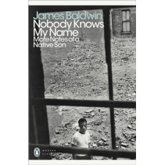 Nobody Knows My Name : More Notes Of A Native Son