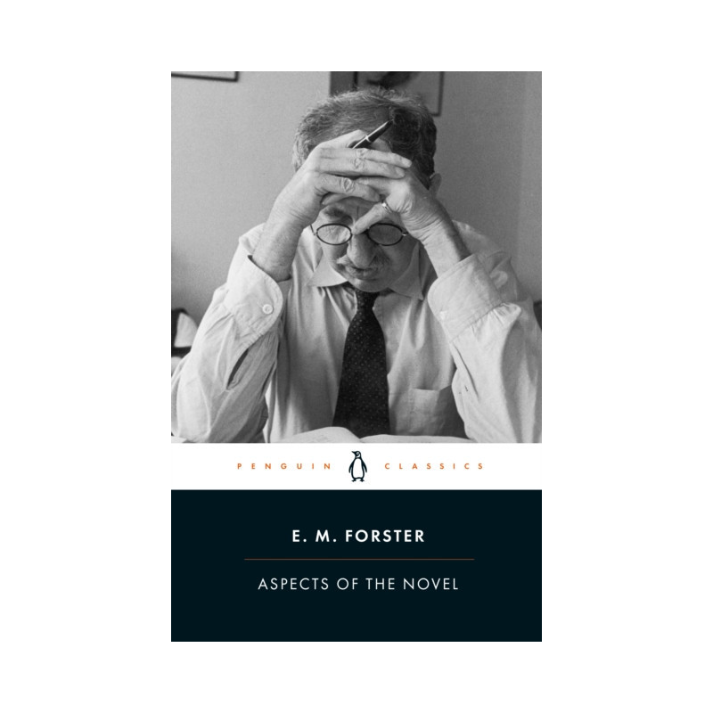 Aspects of the Novel